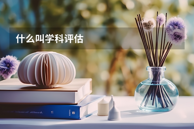 什么叫学科评估