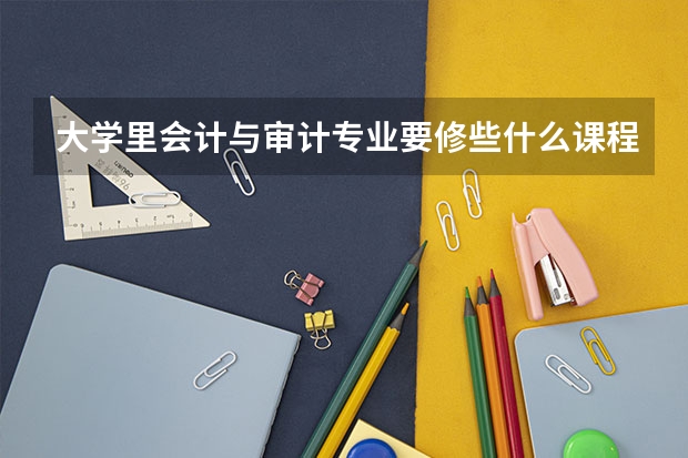 大学里会计与审计专业要修些什么课程？
