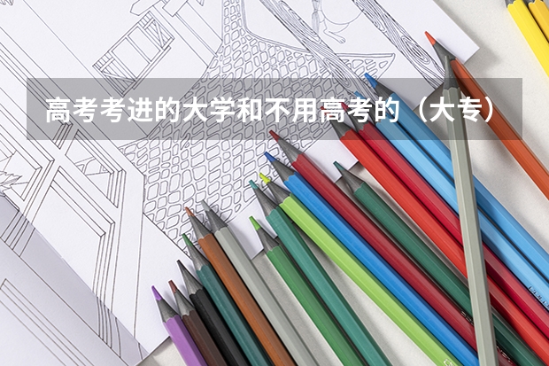高考考进的大学和不用高考的（大专）一样吗？