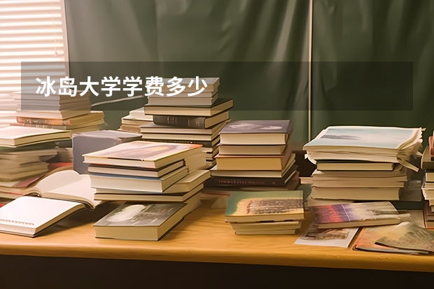 冰岛大学学费多少