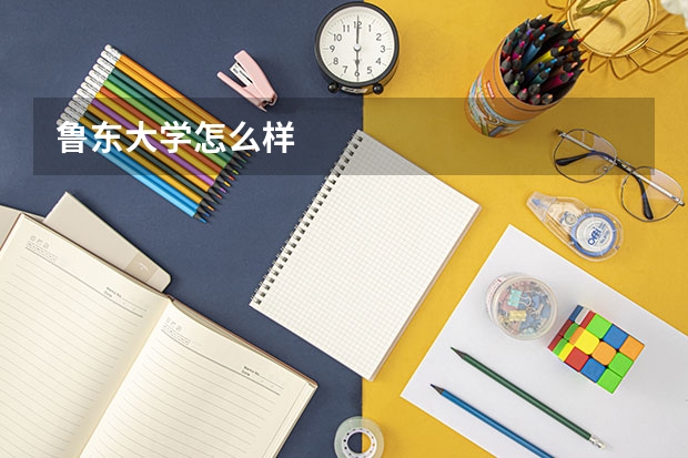 鲁东大学怎么样