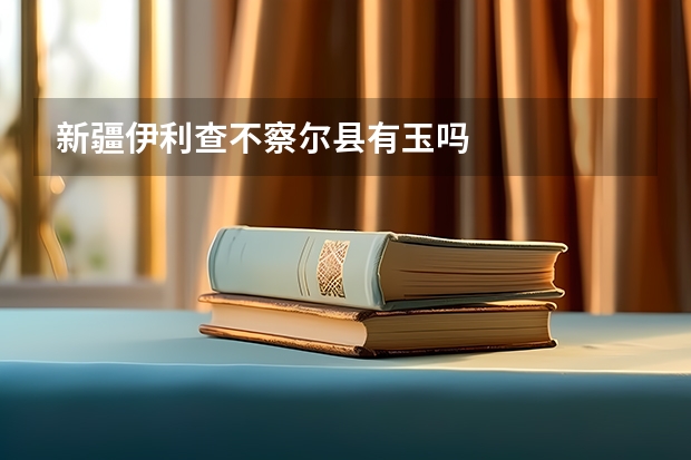 新疆伊利查不察尔县有玉吗