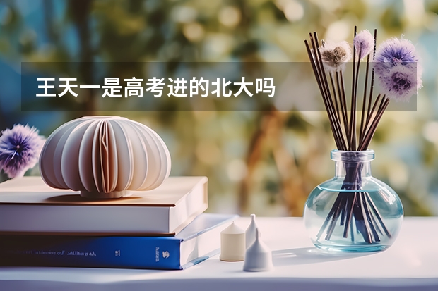 王天一是高考进的北大吗