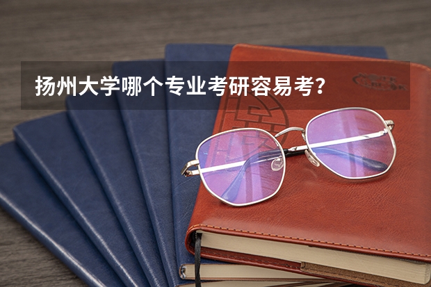 扬州大学哪个专业考研容易考？