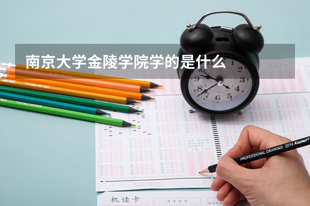 南京大学金陵学院学的是什么
