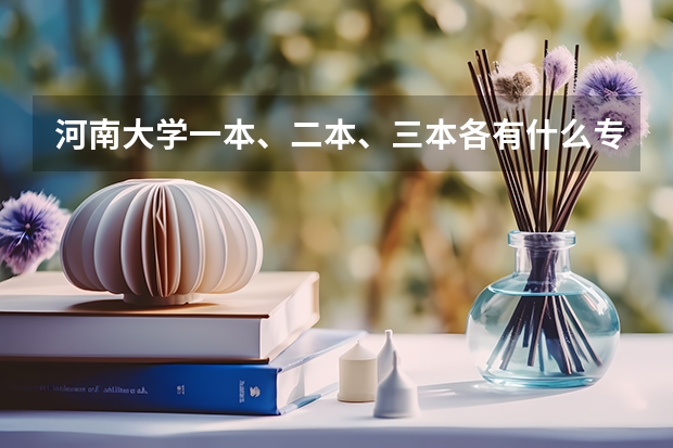 河南大学一本、二本、三本各有什么专业