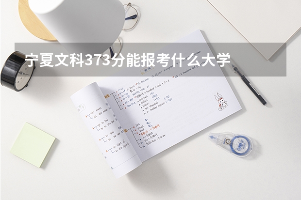 宁夏文科373分能报考什么大学