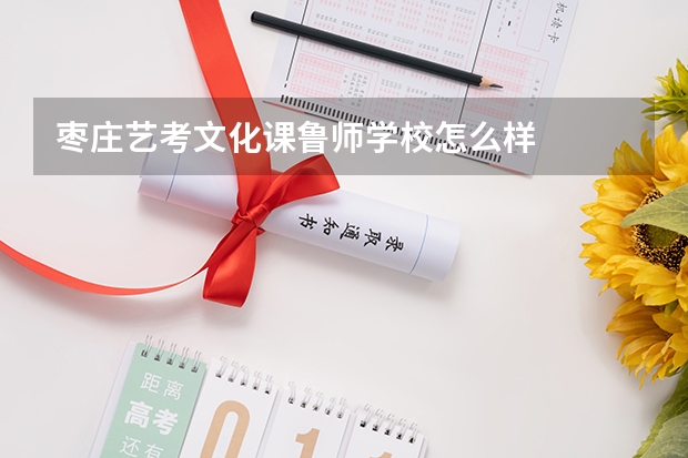 枣庄艺考文化课鲁师学校怎么样