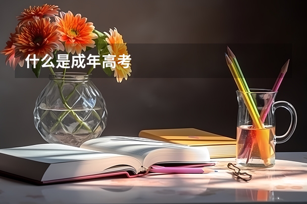 什么是成年高考