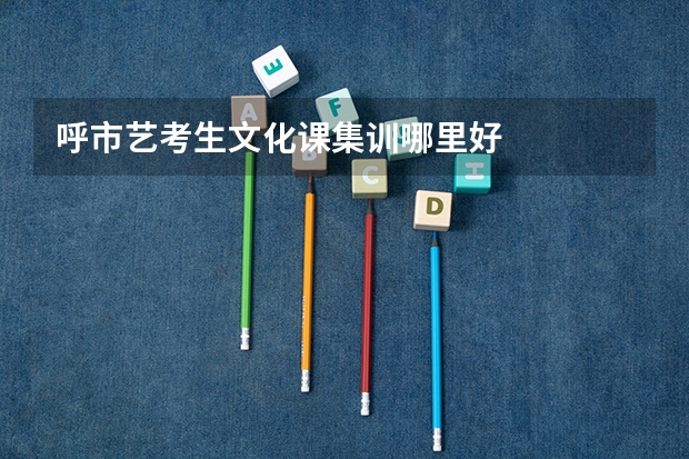 呼市艺考生文化课集训哪里好