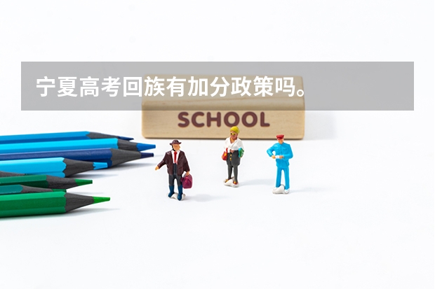宁夏高考回族有加分政策吗。
