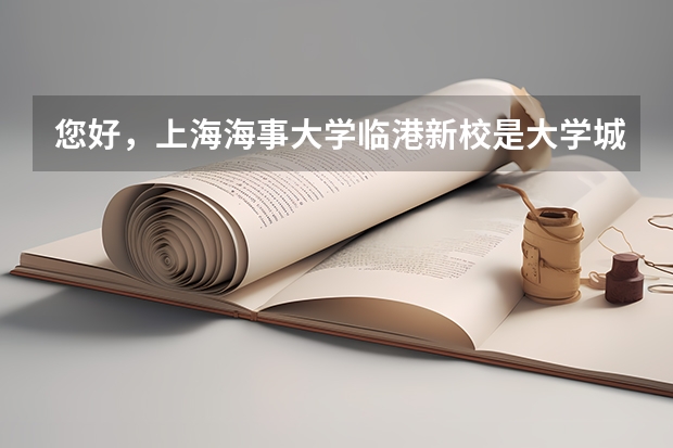 您好，上海海事大学临港新校是大学城还是分院？里面有三本吗