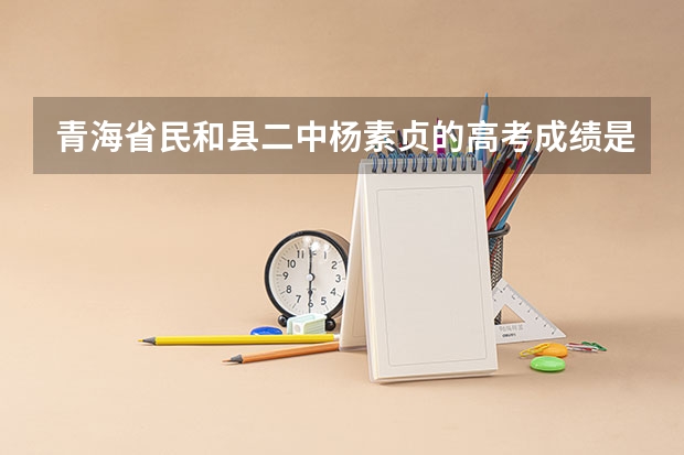 青海省民和县二中杨素贞的高考成绩是多少