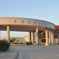 南开大学滨海学院logo图片